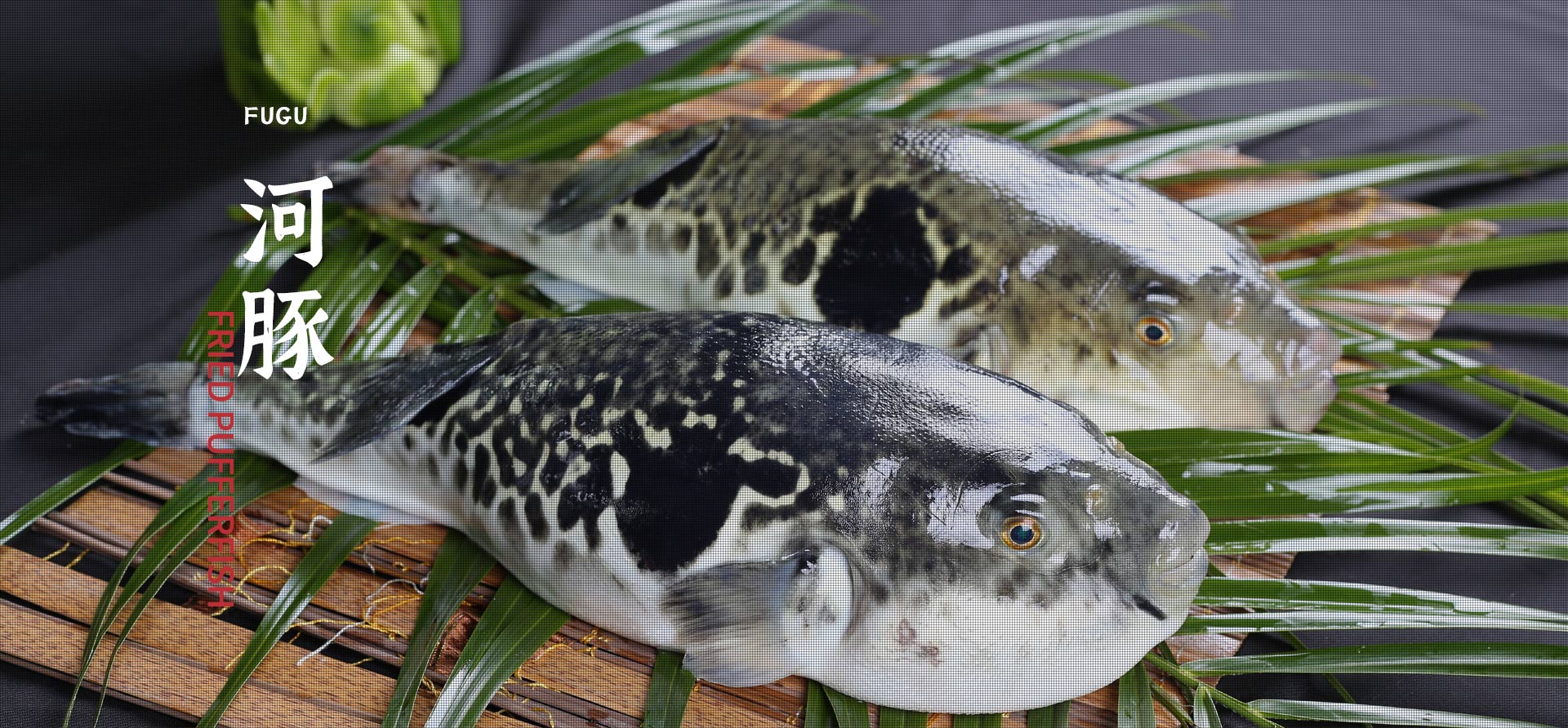 JDB电子·(中国区)试玩平台-JDB电子游戏官网